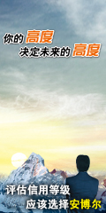 �������õȼ�Ӧ��ѡ�񰲲���
